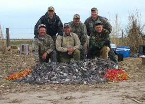 6-guys-3-days-9000-birds-This-is-only-one-afternoon
